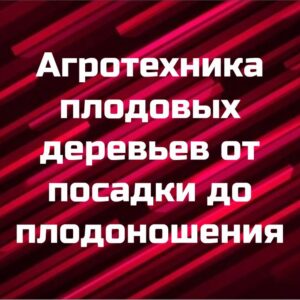 Курс "Агротехника плодовых деревьев от посадки до плодоношения"
