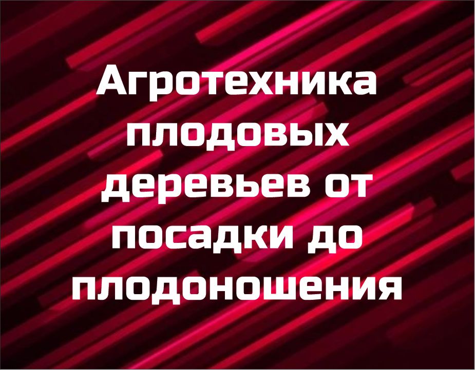 Курс "Агротехника плодовых деревьев от посадки до плодоношения"