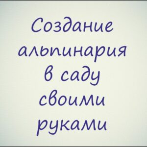 Курс "Создание альпинария в саду своими руками"