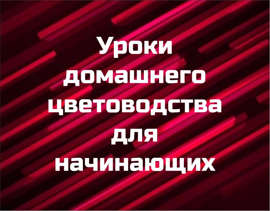 Курс "Уроки домашнего цветоводства для начинающих"
