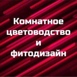Курс "Комнатное цветоводство и фитодизайн"