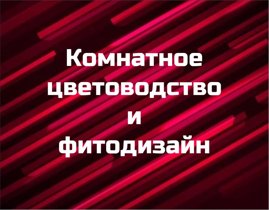 Курс "Комнатное цветоводство и фитодизайн"