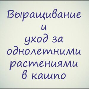 Курс "Выращивание и уход за однолетними растениями в кашпо (цветение с весны до осени)"