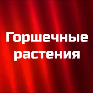 Курс "Горшечные растения"