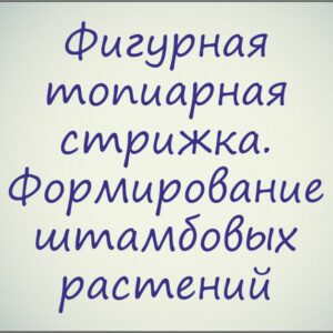 Курс "Фигурная топиарная стрижка растений, кустов и деревьев. Формирование штамбовых растений"
