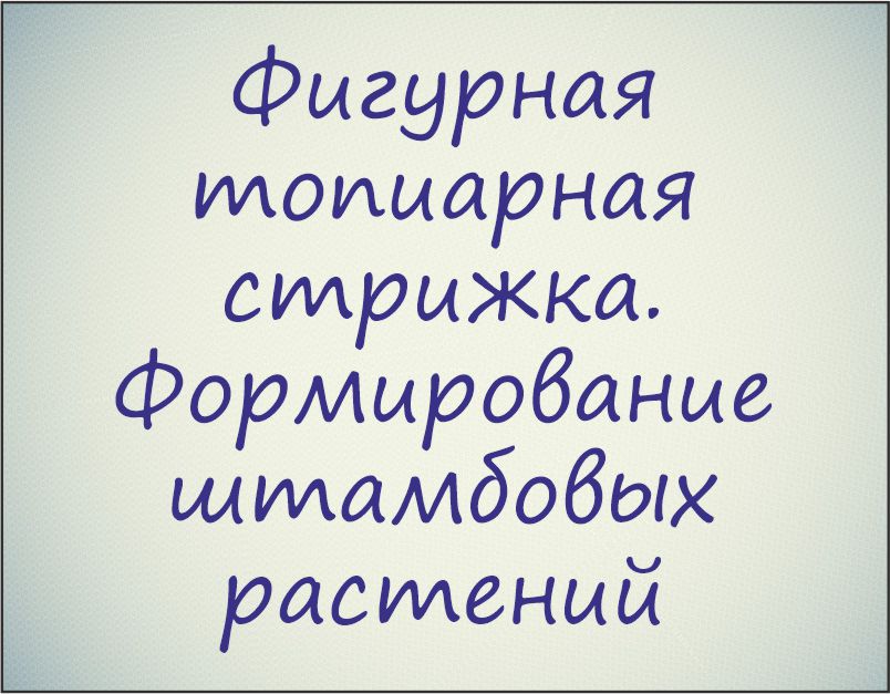 Курс "Фигурная топиарная стрижка растений, кустов и деревьев. Формирование штамбовых растений"